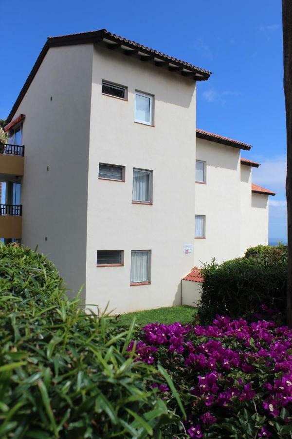 Holidaynorthtenerife Exotic Apartament Los Realejos Exteriér fotografie