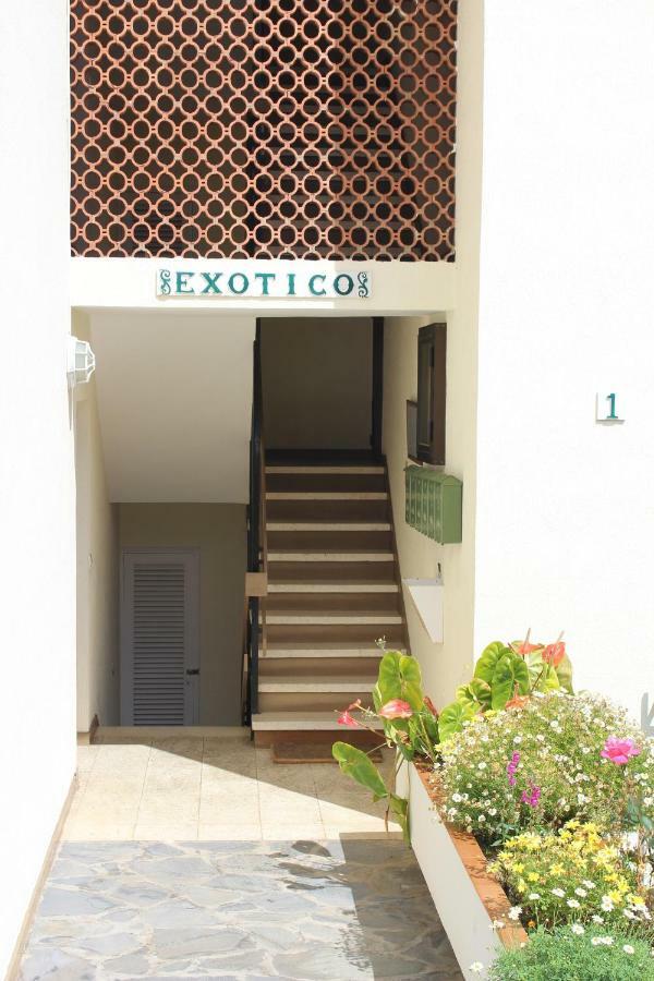 Holidaynorthtenerife Exotic Apartament Los Realejos Exteriér fotografie